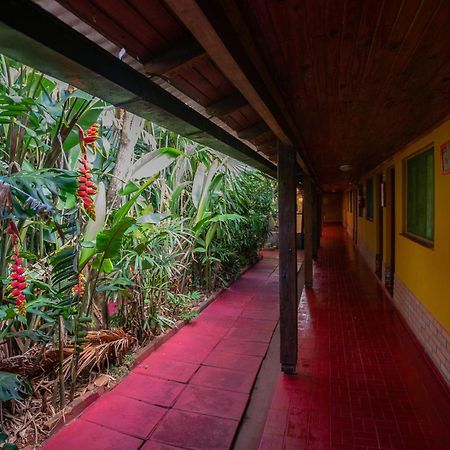 Hosteria Los Helechos Puerto Iguazú Zewnętrze zdjęcie